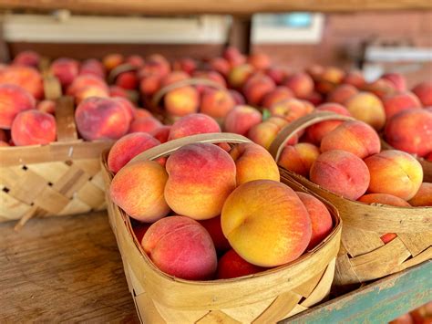 South Carolina Peach Festival kicks off July 15