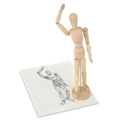 Art Manikins and Anatomical Models | BLICK Art Materials