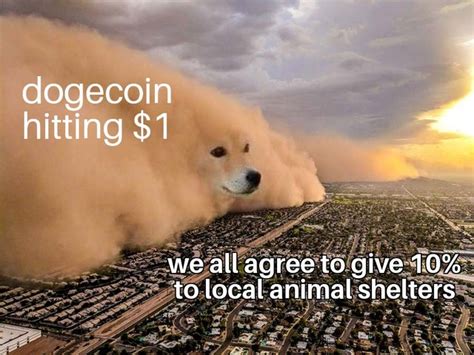 31 Dogecoin Memes Headed Straight to the Moon - Funny Gallery | eBaum's World