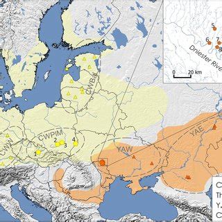 (PDF) Mitochondrial genomes reveal an east to west cline of steppe ...