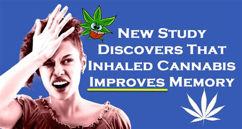 Inhaled Cannabis Improves Memory Says New Study