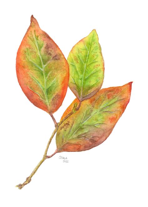 Fall Leaves Watercolor Art Print - Etsy