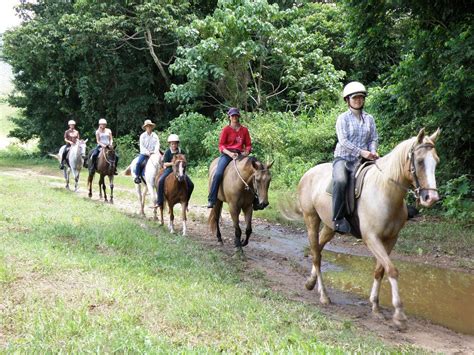 Horseback Riding Tours Near Me