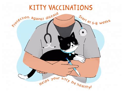 Cat Vaccination Schedule Brilliant Cat Vaccination Schedule Book, Useful Vaccination Reminder ...