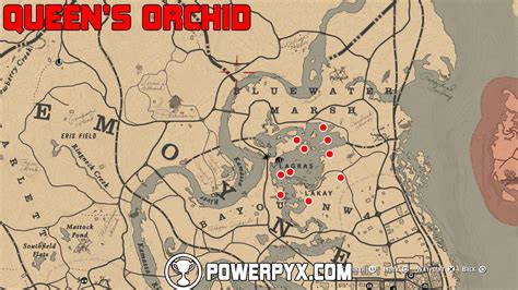 Red Dead Redemption 2 All Exotics Locations