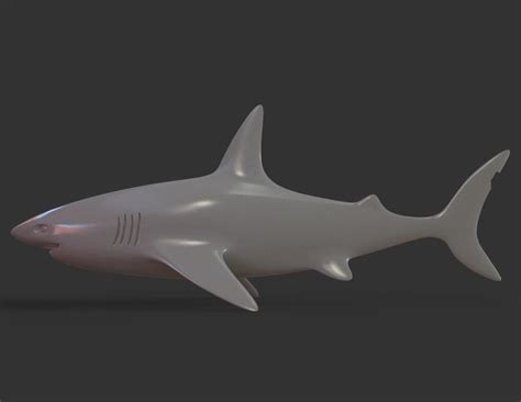 Shark 3D model 3D printable | CGTrader