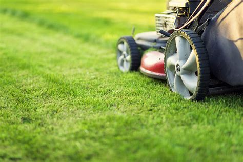 How Often Should You Mow Your Lawn? Spring, Summer, & Fall Pro Tips