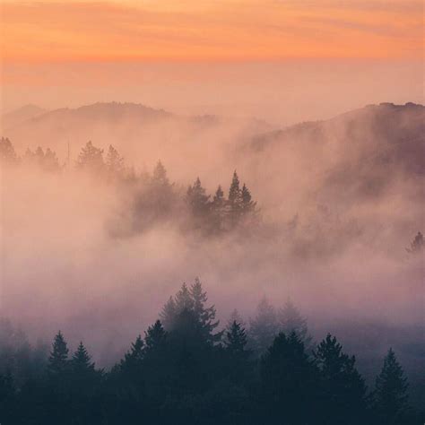 Morning fog | Image, Photography, Beautiful