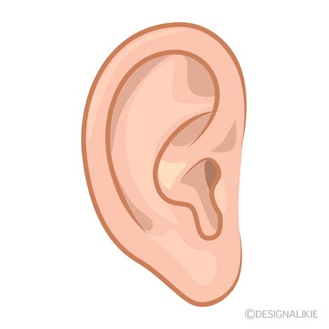 Ears Clipart Png