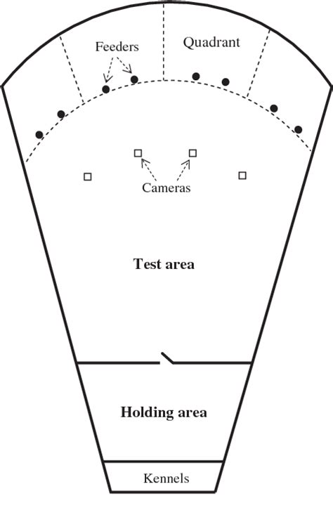 Figure 1 from The Effect of Social Hierarchy on Captive Coyote (Canis latrans) Foraging Behavior ...