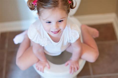 potty training | Potty training, Potty training tips, Fun activities ...