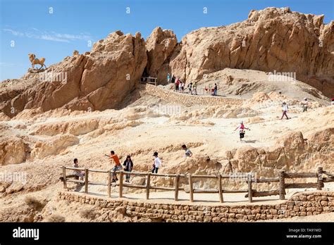 The Chebika oasis in Tozeur, Tunisia, Africa Stock Photo - Alamy