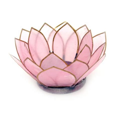 Light Pink Capiz Shell Blooming Lotus Flower Blossom Tealight Candle Holder, One Size - Food 4 Less