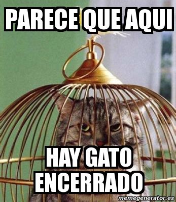 Meme Personalizado - PARECE QUE AQUI HAY GATO ENCERRADO - 371570