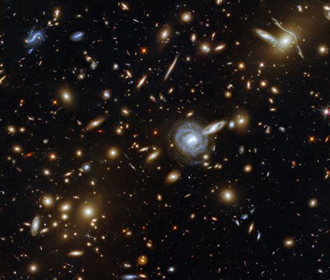 A Menagerie of Galaxies: Hubble Captures a Cluster With Galaxies of All Shapes and Sizes