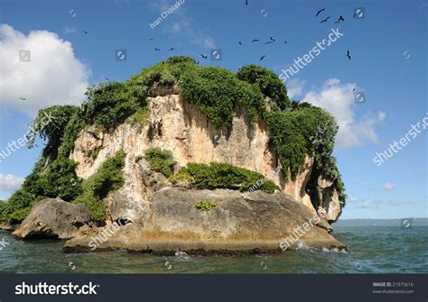 Uninhabited Island In The Haitises Park In The Caribbean Stock Photo ...