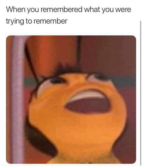 Bee Movie Memes