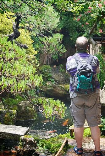 Man standing beside pond in Japanese Zen Garden | For more J… | Flickr