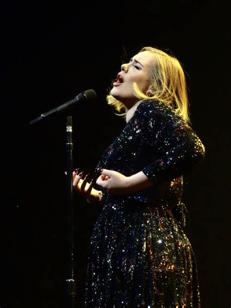 Adele's Concert & Tour History | Concert Archives