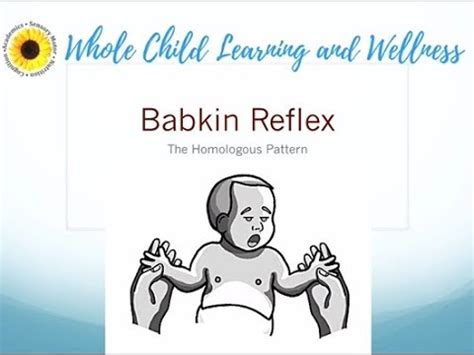 12 Babkin Reflex - YouTube