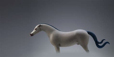 Surreal Animal Sculptures by Wang Ruilin