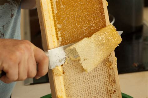 4 Steps to Harvesting Your Own Delicious Honey in No Time Flat