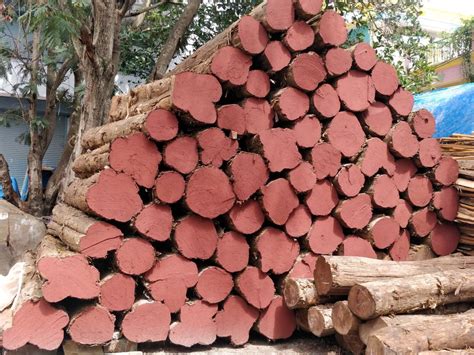 7 - 8 Feet Brown Burma Border Teak Wood logs, Grade: Premium at Rs 3500/cubic feet in Bengaluru