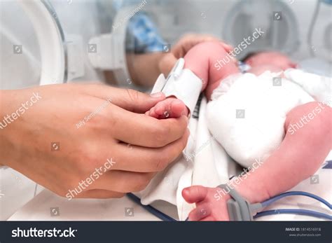 107 Neonatology Equipment Images, Stock Photos, 3D objects, & Vectors | Shutterstock