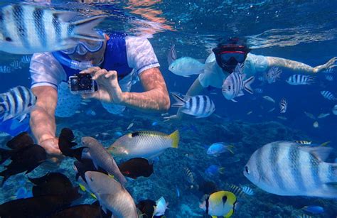 Snorkeling on Bora Bora Island