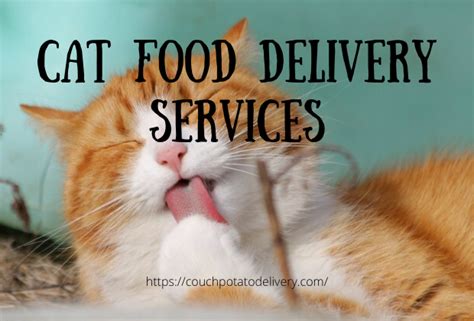 Cat Food Delivery