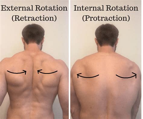 Scapula External Rotation