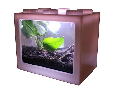 12 Best Fish Tank For Kids Reviews Of 2021 Parents Should Consider