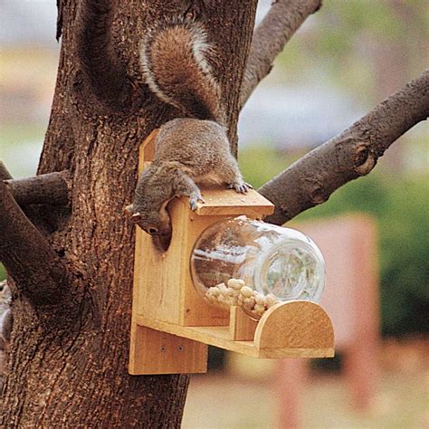 How to Make a Squirrel Feeder (DIY) | Family Handyman