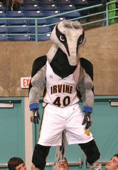 UC Irvine Anteaters mascot, Peter the Anteater. | Mascot, Anteater, Sports jersey