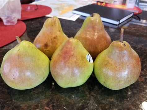 Comice Pears Showing Up in Stores - General Fruit Growing - Growing Fruit