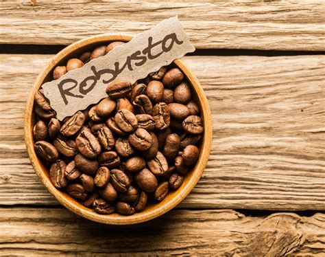 Robusta Coffee Beans at best price in New Delhi by Exotic Foods & Beverages | ID: 9417092948