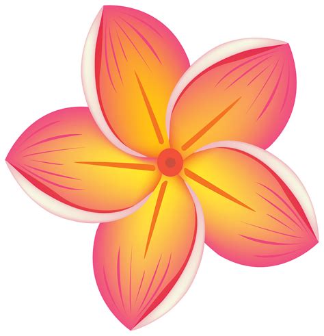 transparent hawaiian flower clipart - Clip Art Library