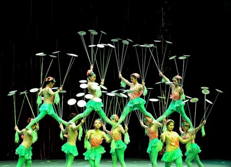 Chinese Acrobatics and Shanghai Evening Tour