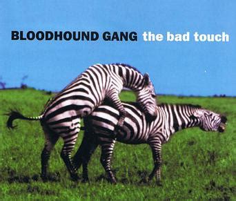 File:The Bad Touch Bloodhound.JPG - Wikipedia