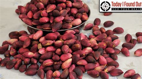 Erudition: Why did Pistachios Used to Be Dyed Red?