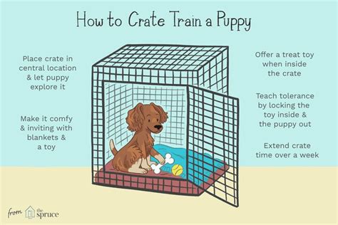 Key Tips for Crate Training Your Puppy #bestdogcratesforpuppies | Crate training puppy, Puppy ...