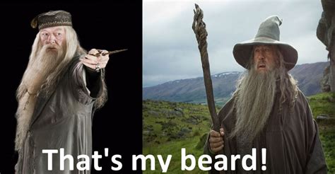 Dumbledore/Gandalf (meme) by FlyGuyRob on DeviantArt