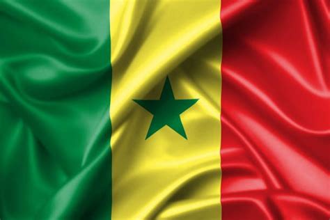 wavy flag of senegal | Drapeau, Afrique, Vetement africain
