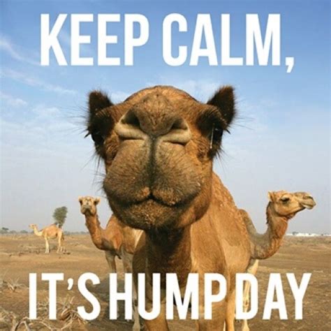 Keep Calm It;s Humpday Pictures, Photos, and Images for Facebook, Tumblr, Pinterest, and Twitter