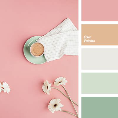 coffee foam color | Color Palette Ideas