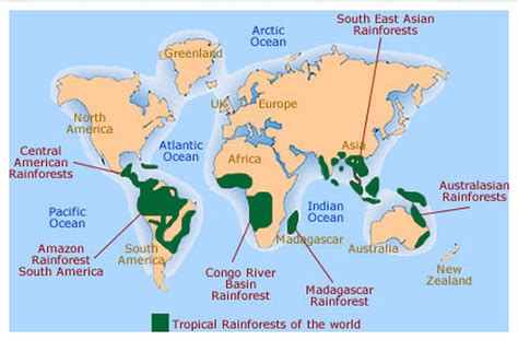 Map of all the Rainforests