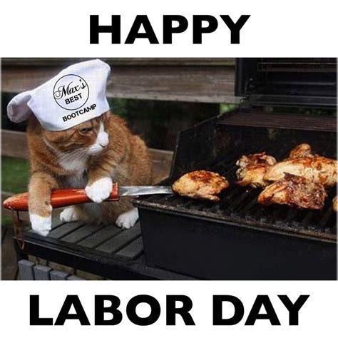 Have a happy Labor Day, whatever you're up to! 🕶😹🍴 (With images) | Funny cat pictures, Funny ...