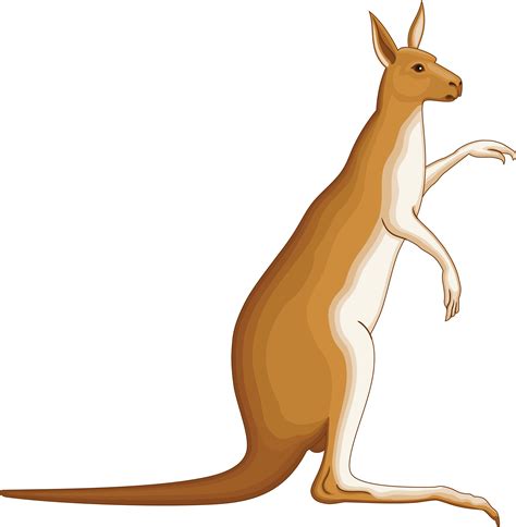 Free Clipart Of A Kangaroo