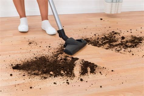 Best Vacuum for Hardwood Floors – 6 Top Options for 2024 - Home Vacuum Zone