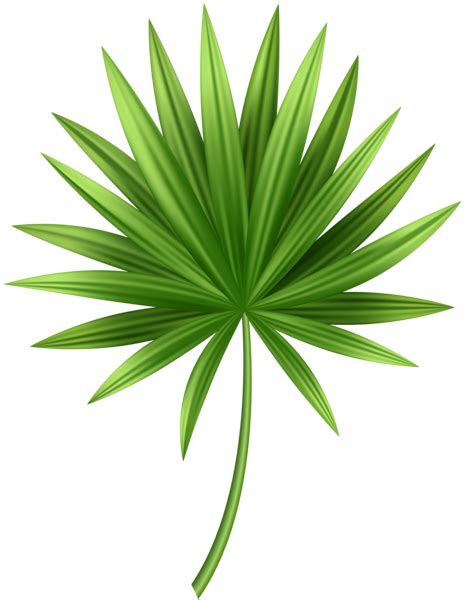 Tropical Leaf PNG Clip Art | Acrylic painting flowers, Flower painting, Acrylic painting for ...